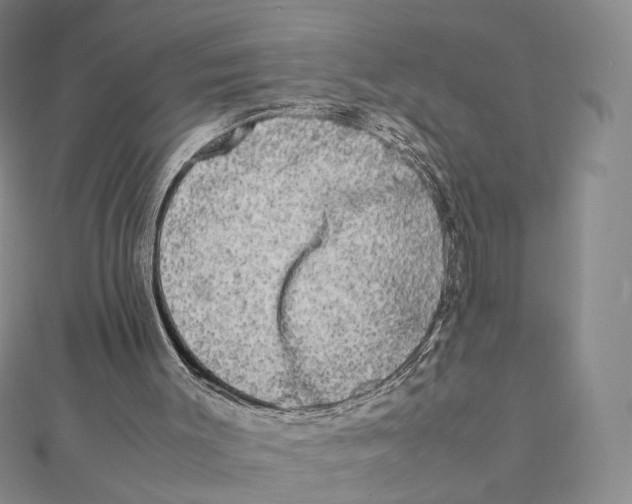 X0000112070003200909011032