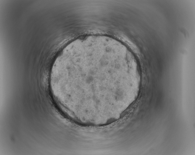 X0000112070009200909011032