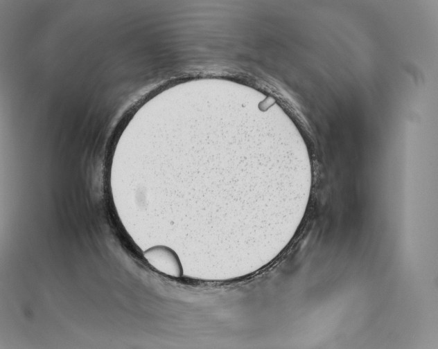 X0000112070012200909011032