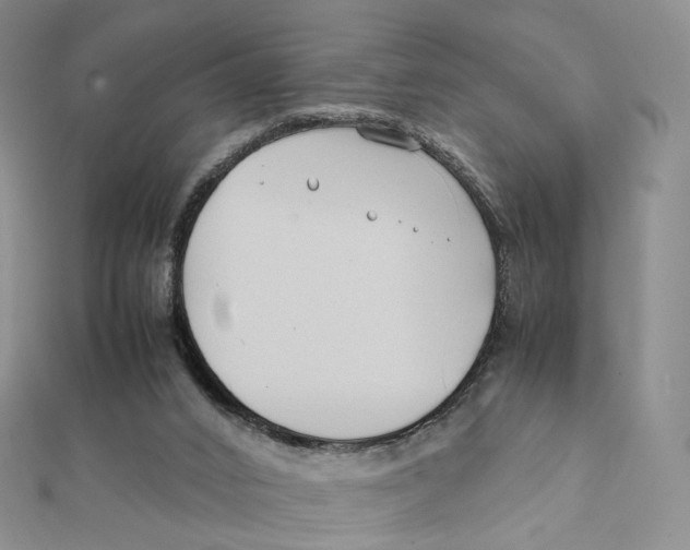 X0000112070016200909011032