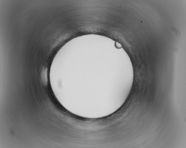 X0000112070020200909011032