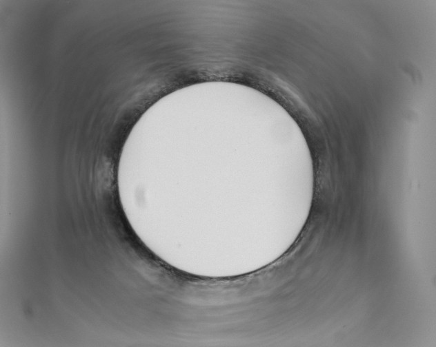 X0000112070025200909011032