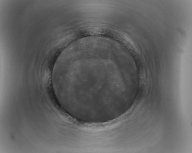 X0000112070029200909011032