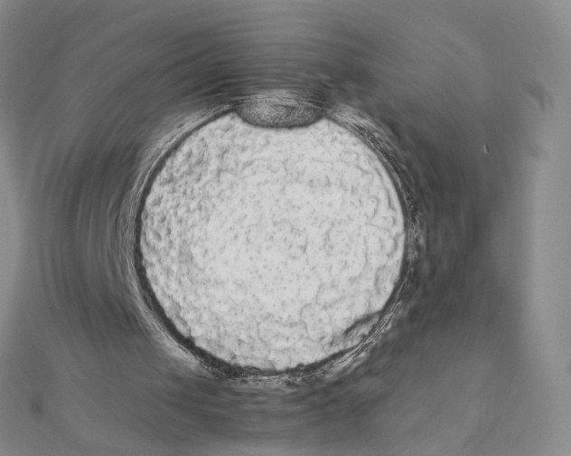 X0000112070049200909011031