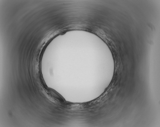 X0000112070050200909011031
