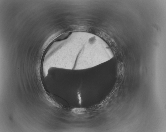 X0000112070051200909011031