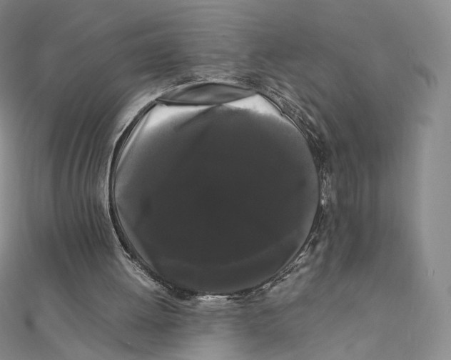 X0000112070052200909011031