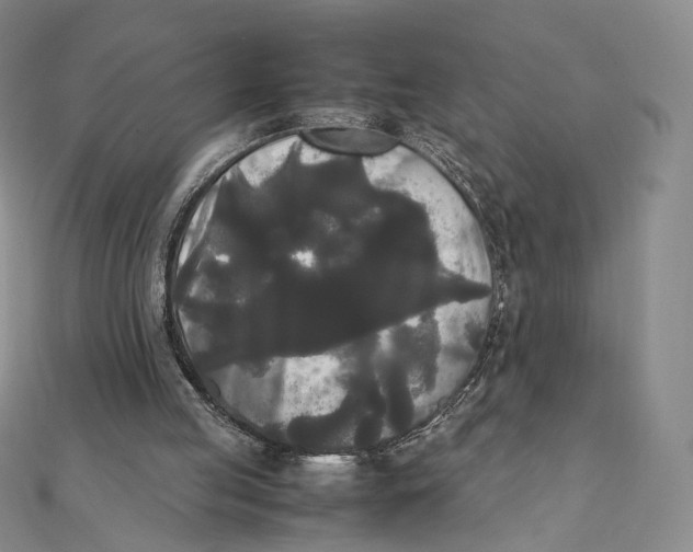 X0000112070053200909011031