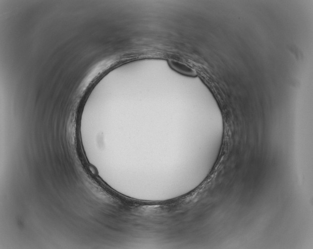 X0000112070054200909011031