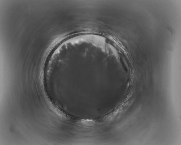 X0000112070055200909011031