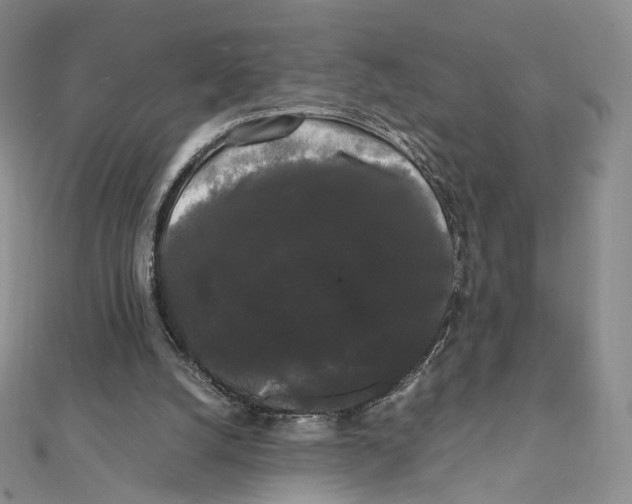 X0000112070056200909011031