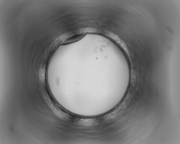 X0000112070057200909011031