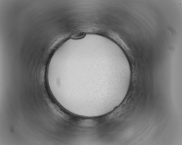 X0000112070058200909011031