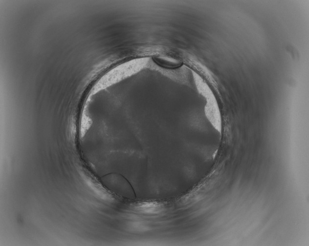 X0000112070059200909011031