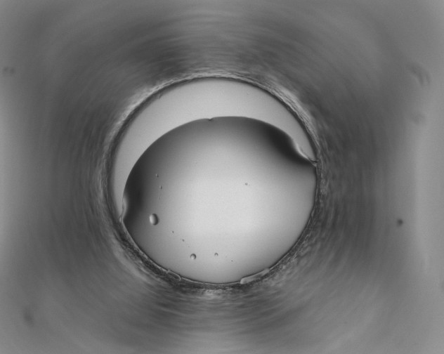X0000112070060200909011031