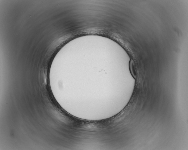 X0000112070062200909011031