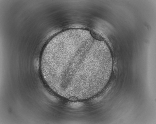 X0000112070063200909011031