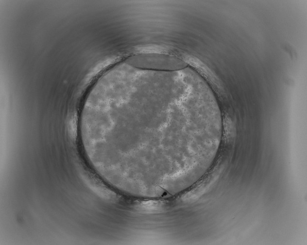 X0000112070064200909011031