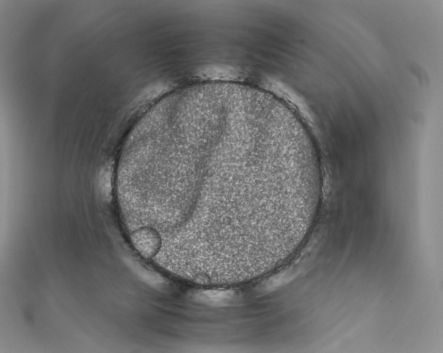 X0000112070065200909011031