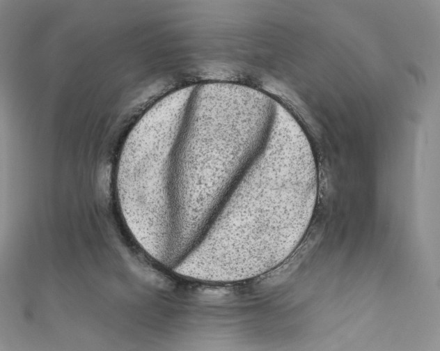 X0000112070066200909011031