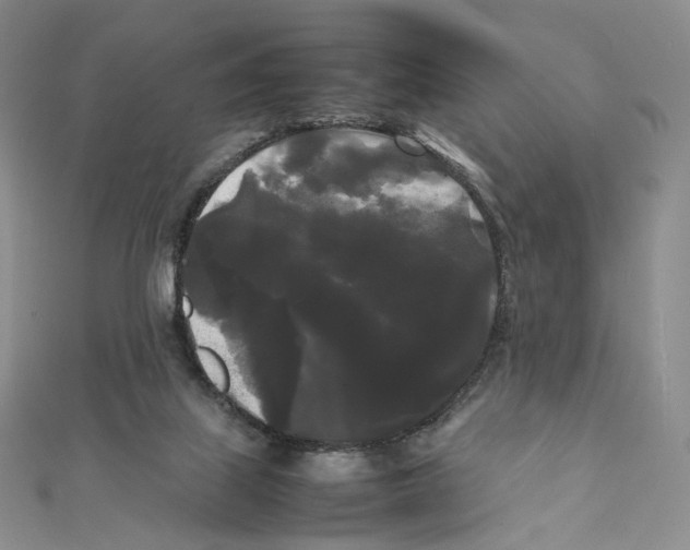 X0000112070067200909011031