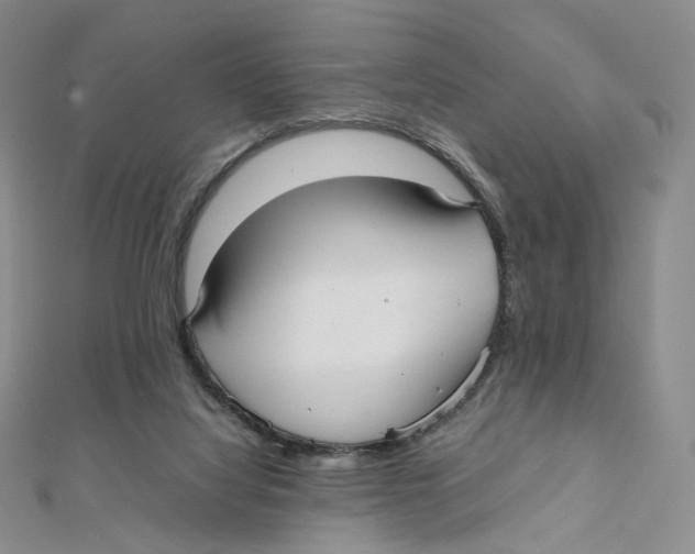 X0000112070068200909011031