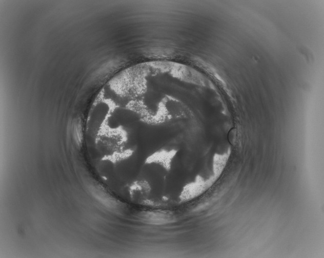 X0000112070069200909011031