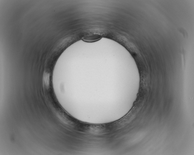 X0000112070070200909011031
