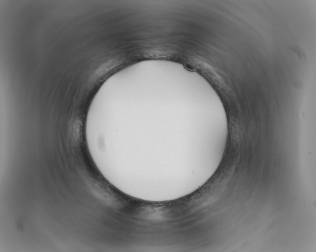 X0000112070071200909011031