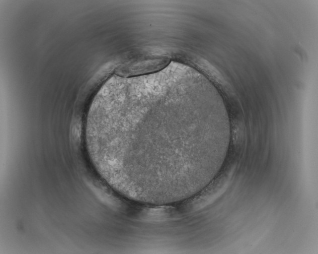 X0000112070072200909011031