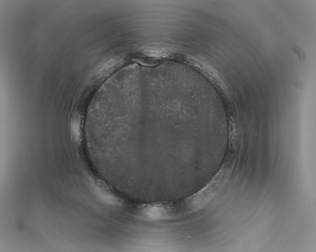 X0000112070074200909011031