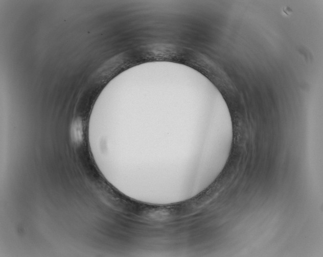 X0000112070075200909011031