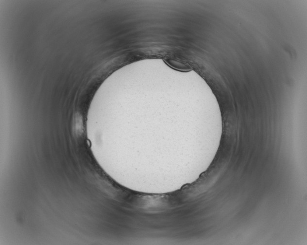 X0000112070089200909011032