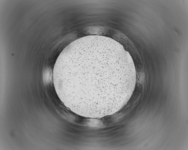 X0000112070095200909011032