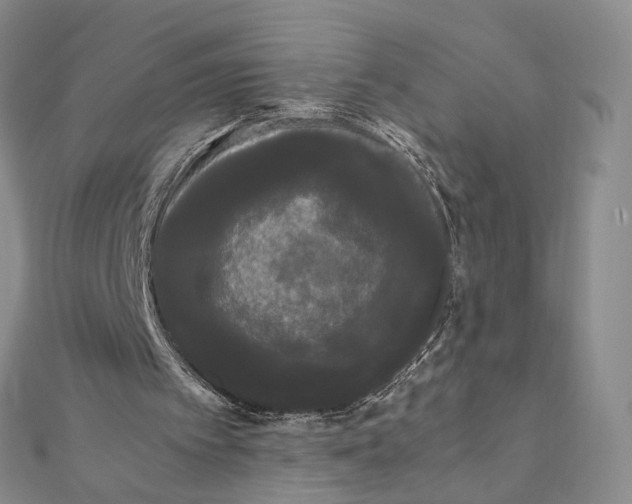 X0000112070097200909011031