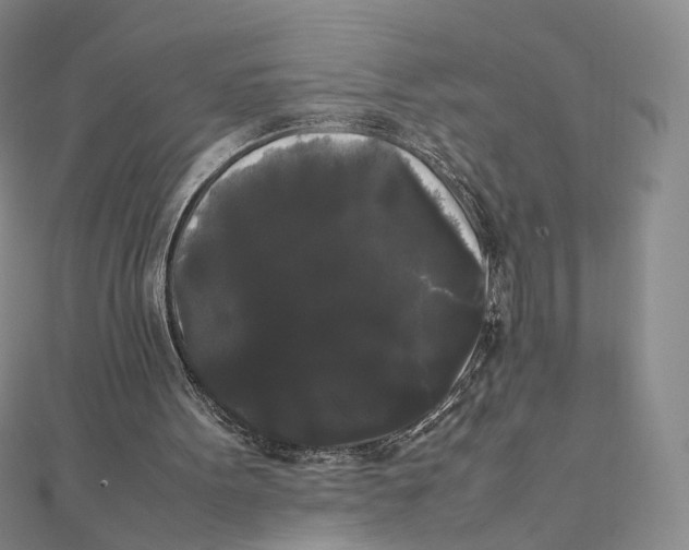 X0000112070099200909011031