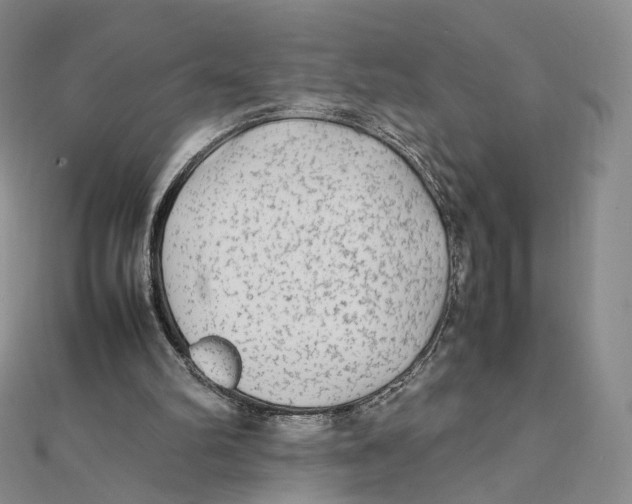 X0000112070102200909011031