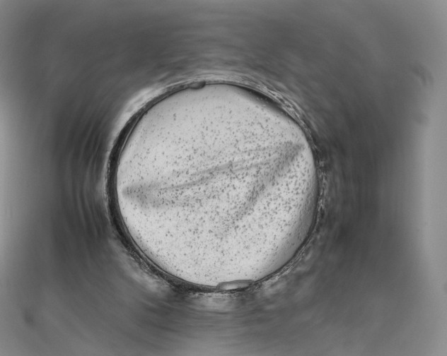 X0000112070104200909011031