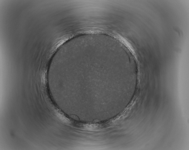 X0000112070105200909011031