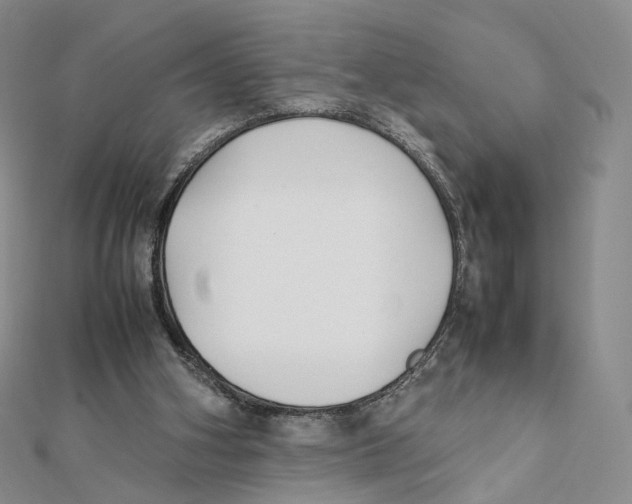 X0000112070106200909011031