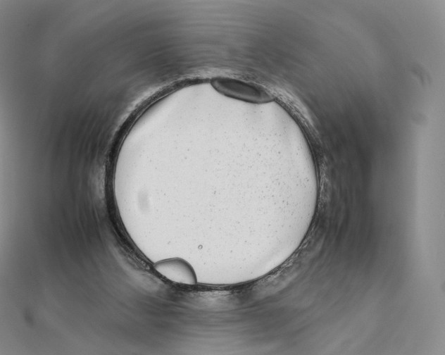 X0000112070108200909011031