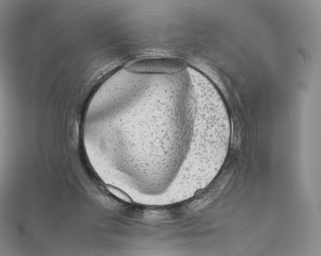 X0000112070109200909011031