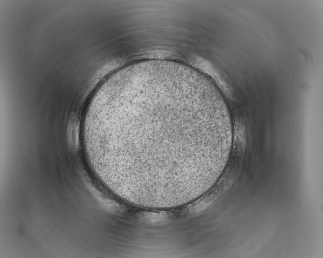 X0000112070110200909011031