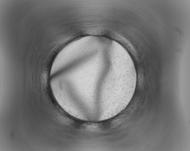 X0000112070113200909011031