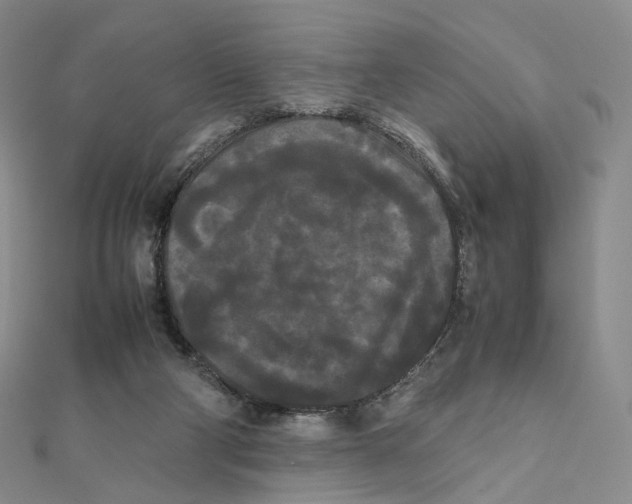 X0000112070114200909011031