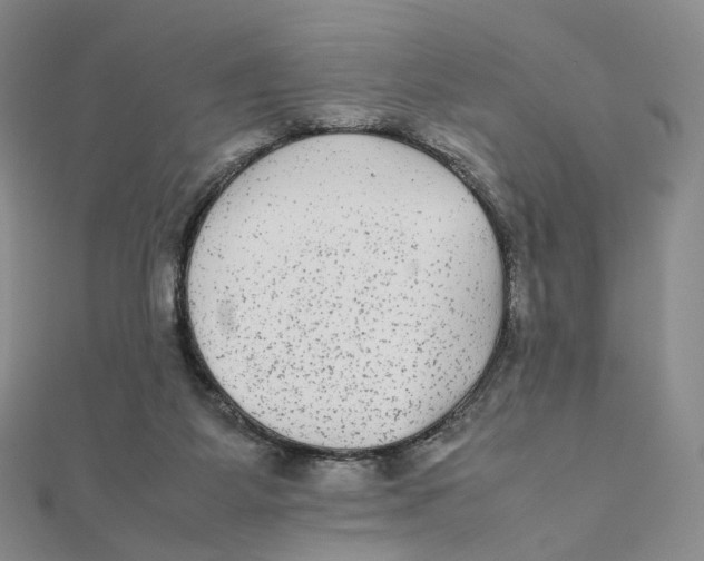 X0000112070115200909011031