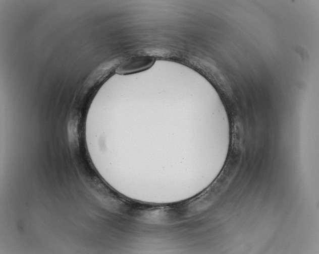 X0000112070116200909011031