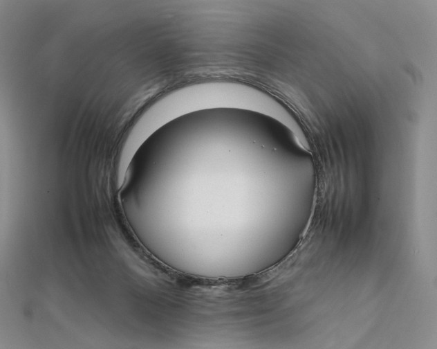 X0000112070120200909011031