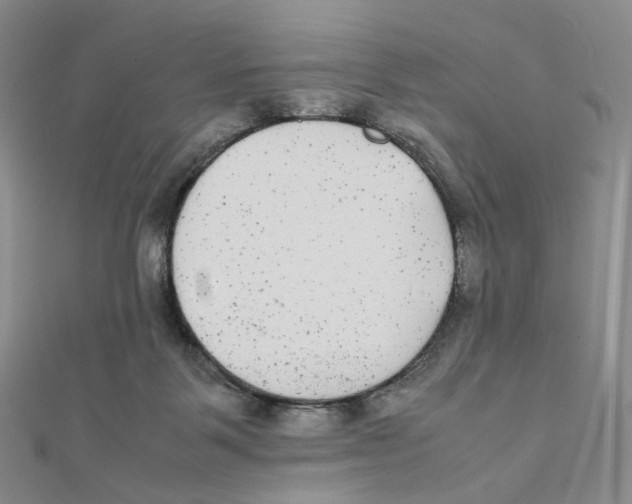X0000112070123200909011031