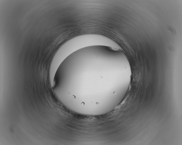 X0000112070124200909011031